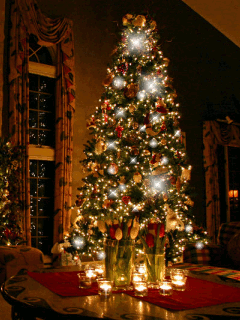 sapin lumiere