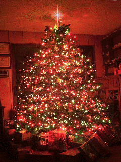 sapin rouge