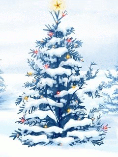 sapin sous la neige