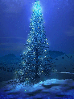 sapin nuit