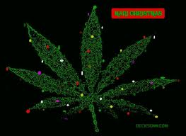 A christmas Weed 