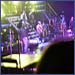 see NKOTB Live in Boston