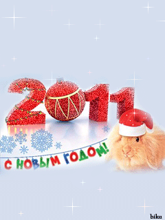 2011 Bezekli