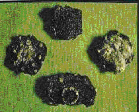 A Mexican Dry