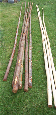 Teepee Poles