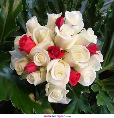 Belles roses