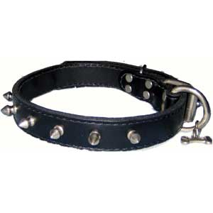 DOG COLLAR