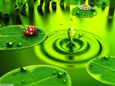 3d lake