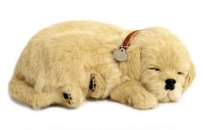 Golden Dog