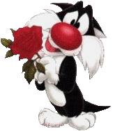 cinta