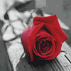 سنة جديدة سعيدة