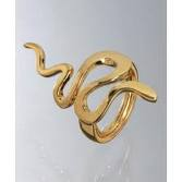Ring 25