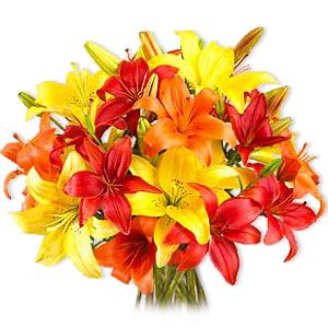 lilies