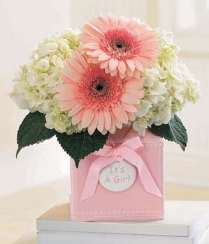 Pink flowers