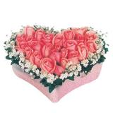 pink roses