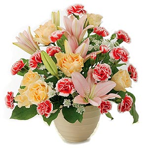 lilies