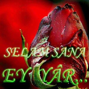Gelir misin rüyama bir kez göreyim cemalini 