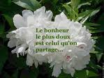 bonheur