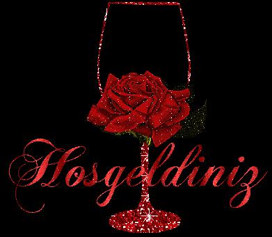 HOŞGELDİNİZ
