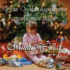 2011 yılının bütün dünyaya ve ülkemize huzur ve mutluluk getirmesini temenni ederim.