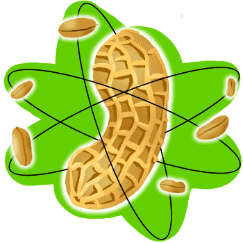 Peanut