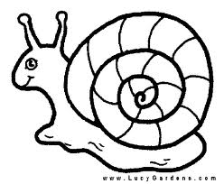 Snail