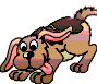 Gift Dog