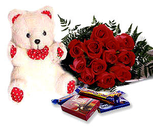 Teddy