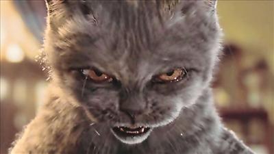 Angry Cat
