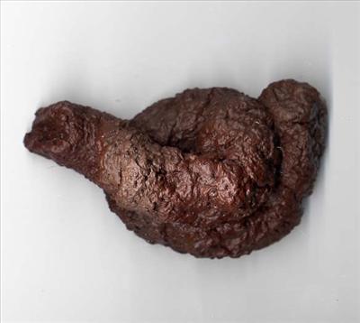 Fake Dog Poo