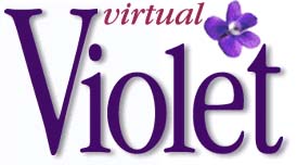 Virtual Violet Website