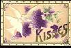 Kissing Doves and Violets
