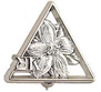 25 Year Pin