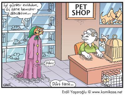 Karikatür 11
