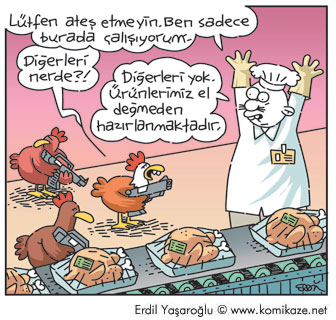 Karikatür 27