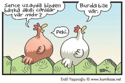 Karikatür 30