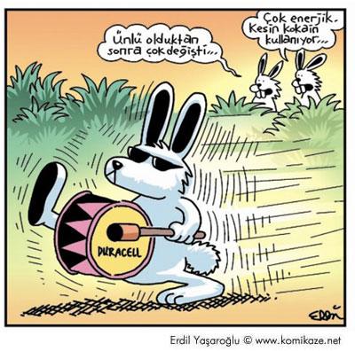 Karikatür 17
