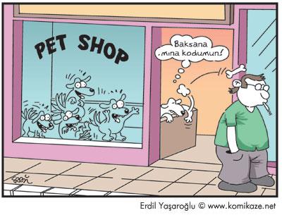 Karikatür 25