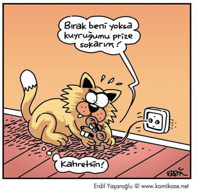 Karikatür 28