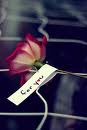 Best.Friend 4 Ever