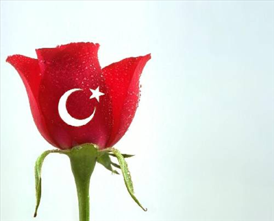 Herşeyim