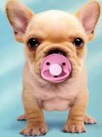 un pichichu 
