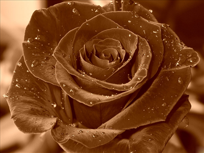 ROMANTIK