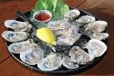 Oyster Bar