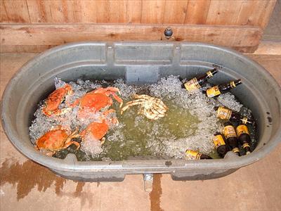 Steamed Crabs and Beer on Ice!