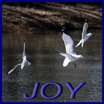 JOY