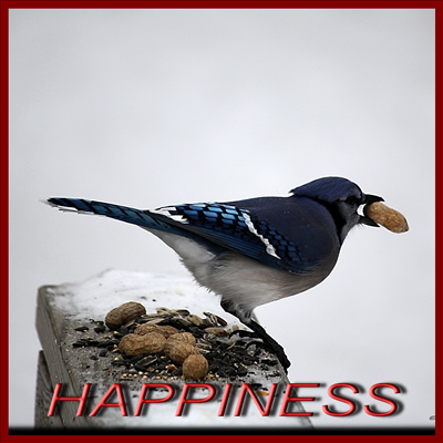 HAPPINESS