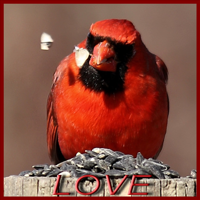 LOVE