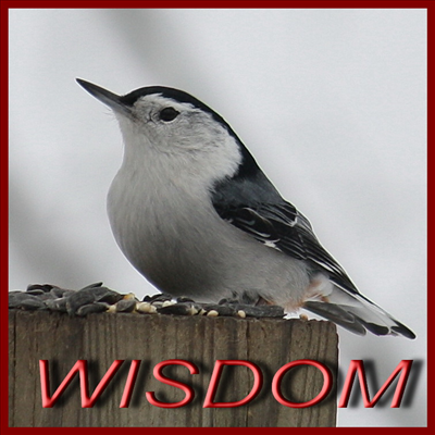WISDOM