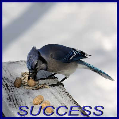 SUCCESS